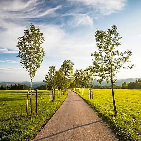Turnovská