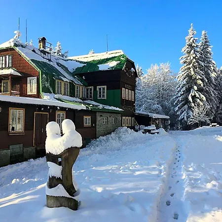 Turnovska *