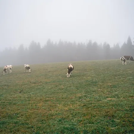 Turnovska Kořenov