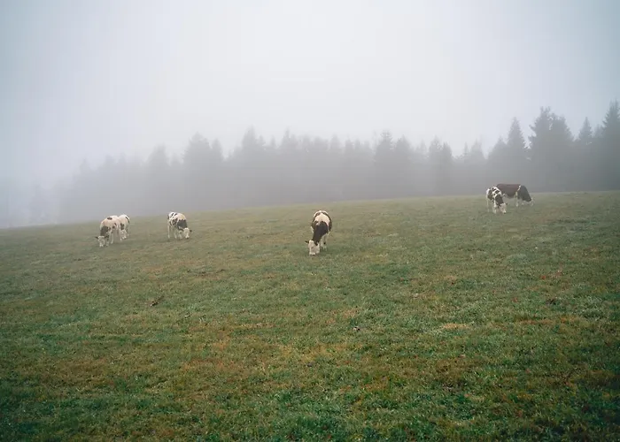 Turnovska Kořenov